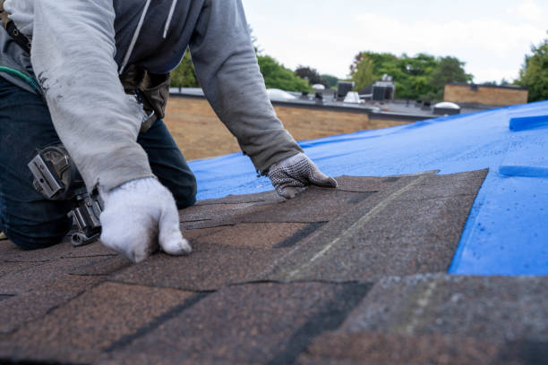 Best Gutter Installation and Roofing  in Cherry Hill, VA